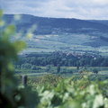 Blick ins Rheintal